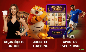 Guias de instalação da winok